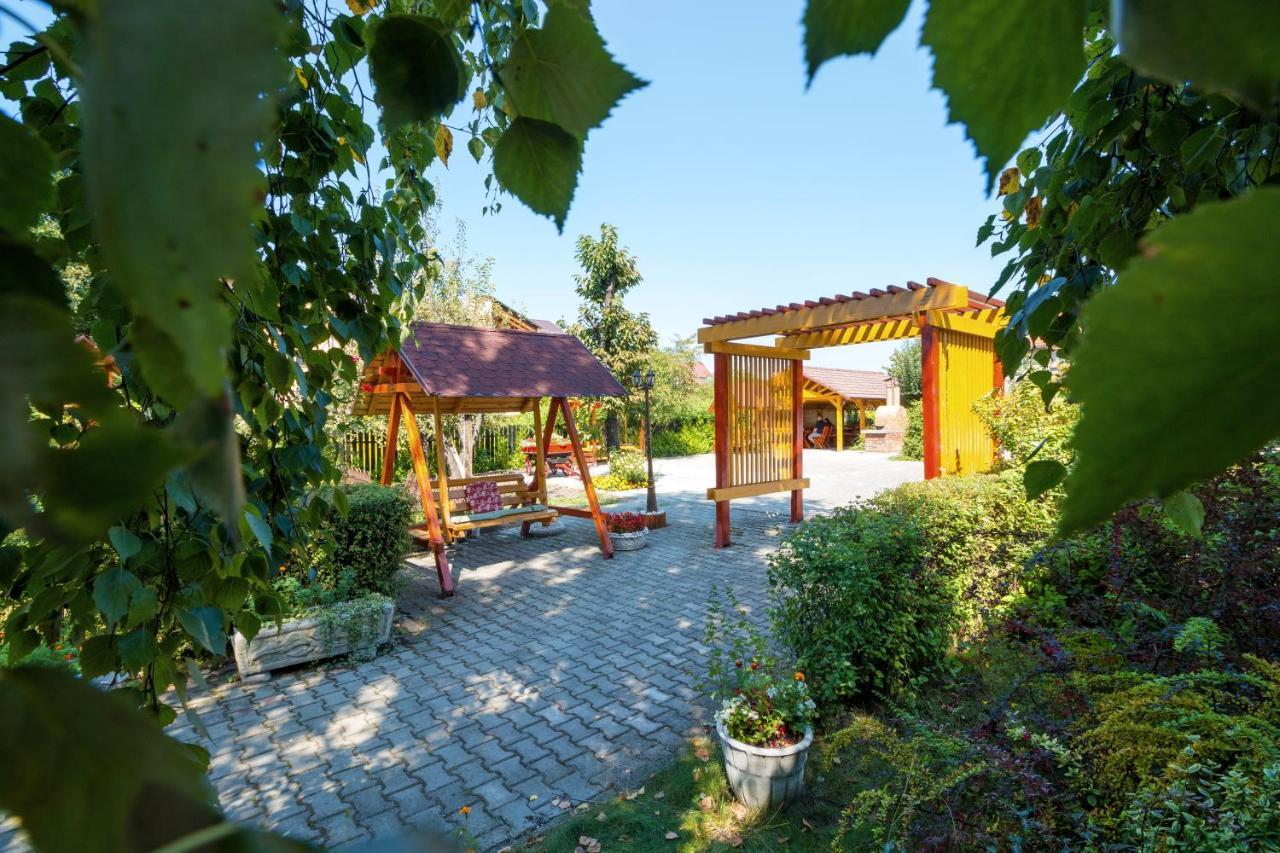 Guest house Pensiunea Kronstadt