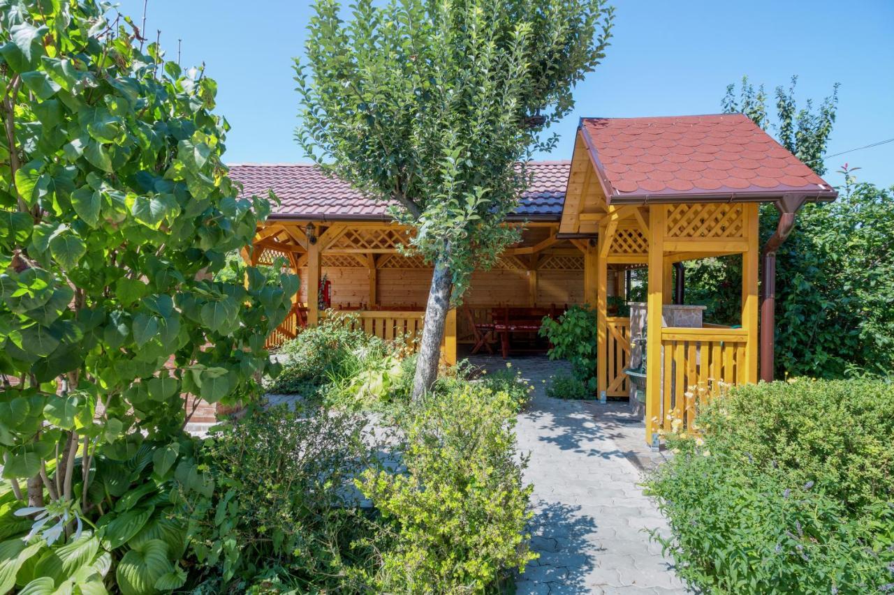 Guest house Pensiunea Kronstadt 3*